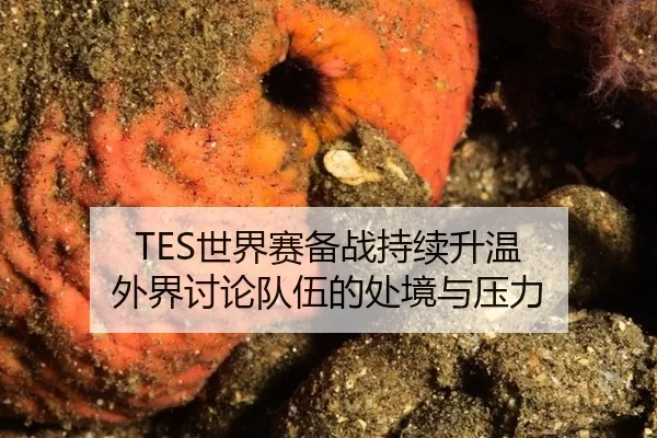 TES世界赛备战持续升温 外界讨论队伍的处境与压力